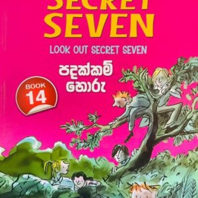 Children 's novel translation 